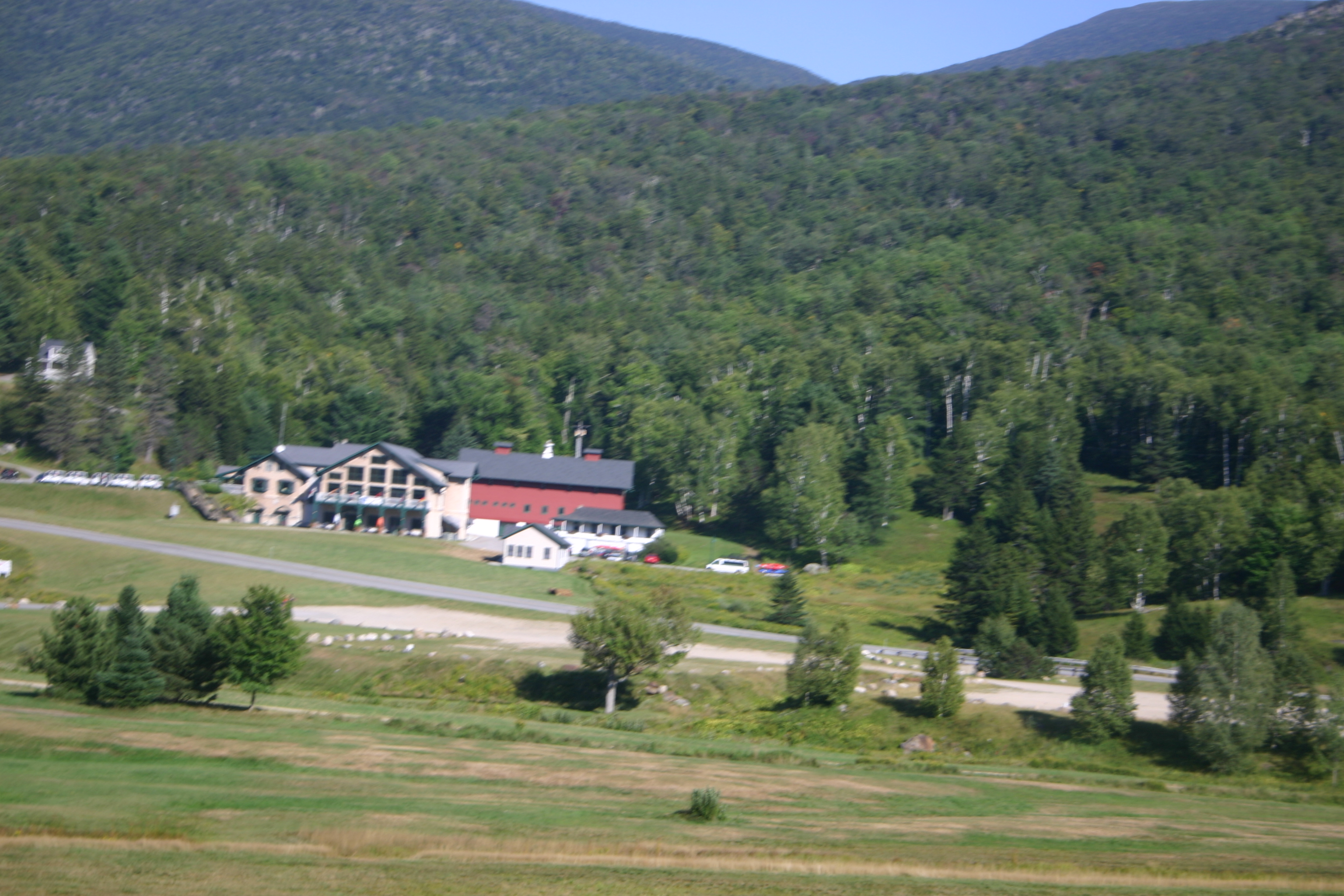picture 10.